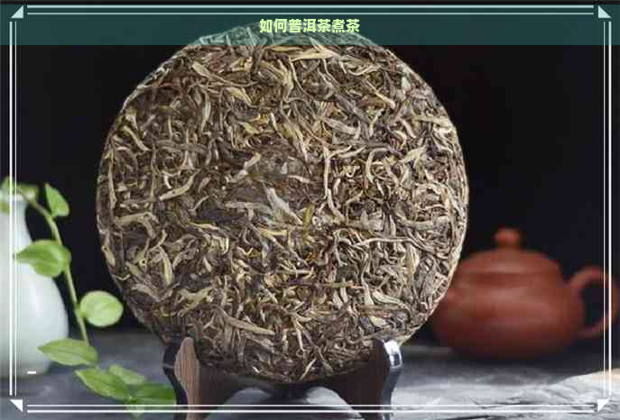 如何普洱茶煮茶