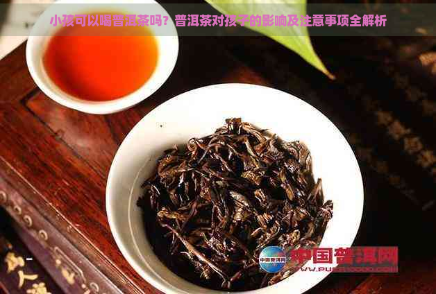 小孩可以喝普洱茶吗？普洱茶对孩子的影响及注意事项全解析