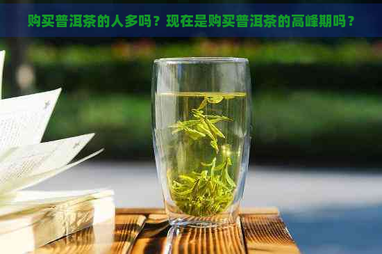 购买普洱茶的人多吗？现在是购买普洱茶的高峰期吗？