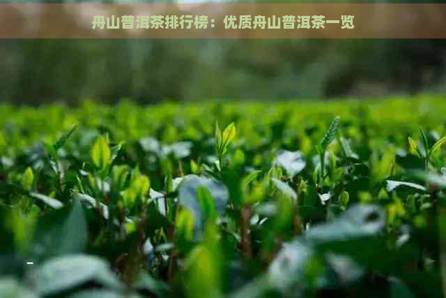 舟山普洱茶排行榜：优质舟山普洱茶一览