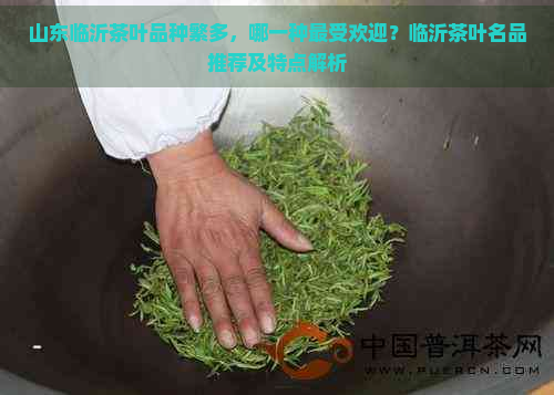 山东临沂茶叶品种繁多，哪一种更受欢迎？临沂茶叶名品推荐及特点解析