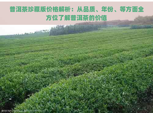 普洱茶珍藏版价格解析：从品质、年份、等方面全方位了解普洱茶的价值