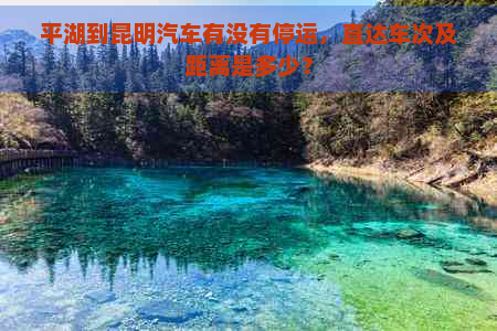 平湖到昆明汽车有没有停运，直达车次及距离是多少？