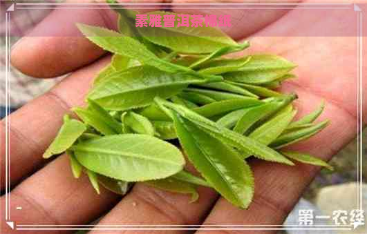 素雅普洱茶棉纸