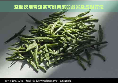 空腹饮用普洱茶可能带来的危害及应对方法