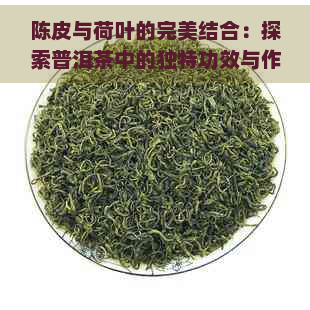 陈皮与荷叶的完美结合：探索普洱茶中的独特功效与作用