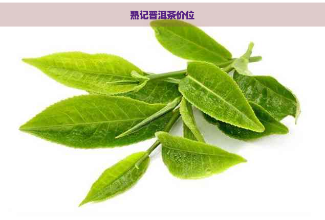 熟记普洱茶价位