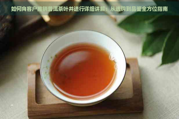 如何向客户推销普洱茶叶并进行详细讲解：从选购到品鉴全方位指南