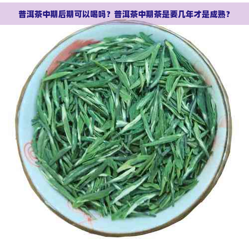 普洱茶中期后期可以喝吗？普洱茶中期茶是要几年才是成熟？