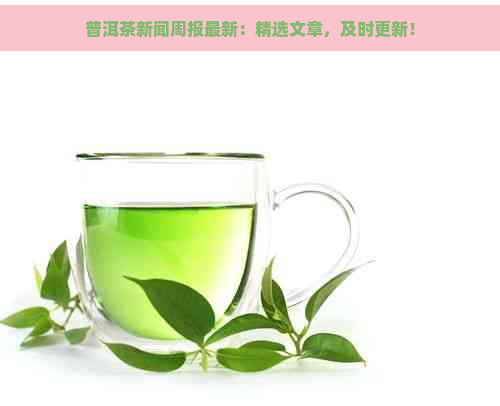 普洱茶新闻周报最新：精选文章，及时更新！