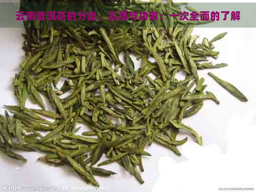 云南普洱茶的分类、品质与功效：一次全面的了解