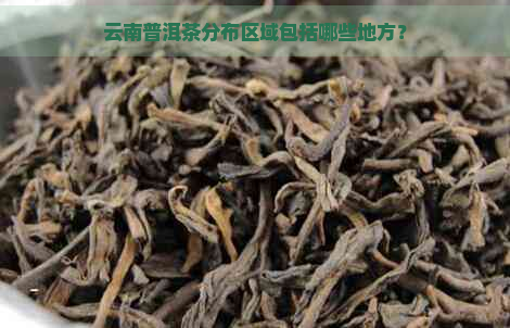 云南普洱茶分布区域包括哪些地方？