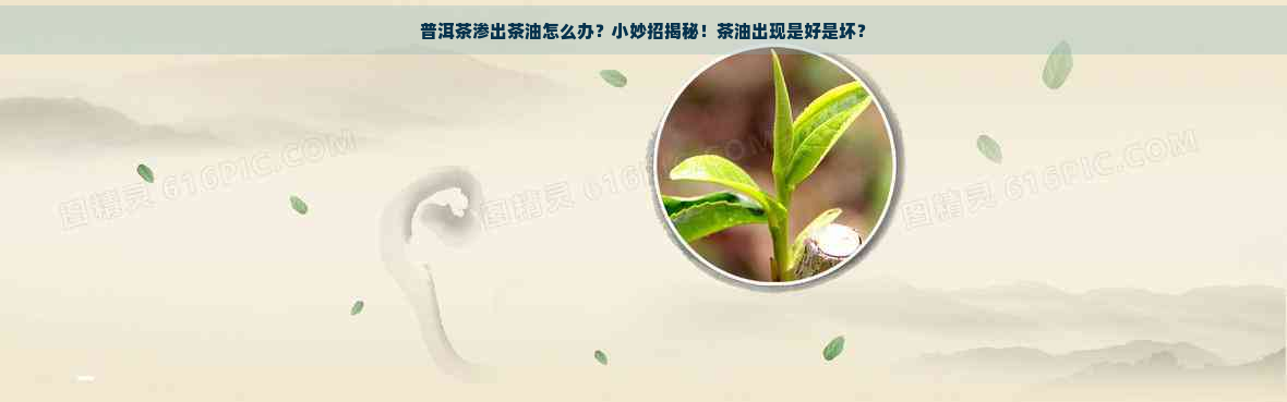 普洱茶渗出茶油怎么办？小妙招揭秘！茶油出现是好是坏？