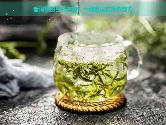 普洱茶的独特气息：一种难以抗拒的魅力