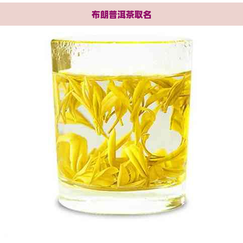 布朗普洱茶取名