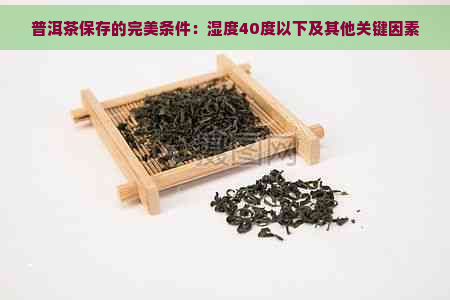 普洱茶保存的完美条件：湿度40度以下及其他关键因素