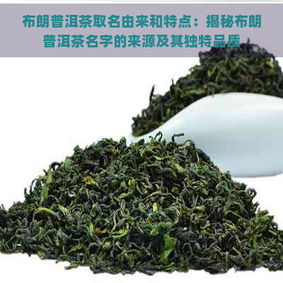 布朗普洱茶取名由来和特点：揭秘布朗普洱茶名字的来源及其独特品质