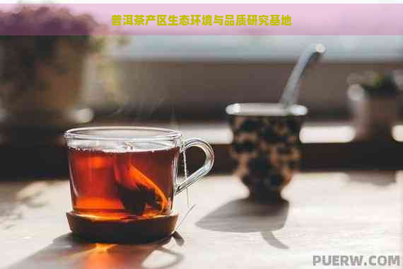 普洱茶产区生态环境与品质研究基地