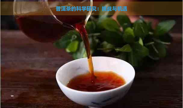 普洱茶的科学研究：挑战与机遇