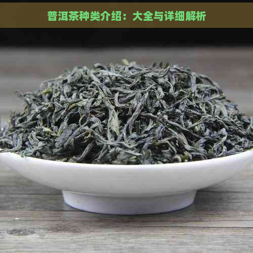 普洱茶种类介绍：大全与详细解析