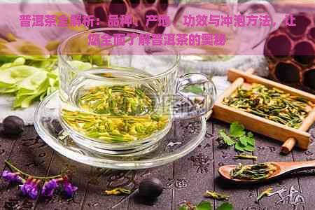 普洱茶全解析：品种、产地、功效与冲泡方法，让您全面了解普洱茶的奥秘