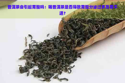 普洱茶会引起胃酸吗：喝普洱茶是否导致胃酸分泌过多及胃不适？