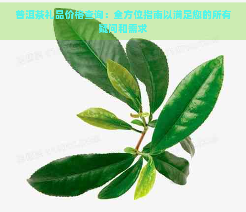 普洱茶礼品价格查询：全方位指南以满足您的所有疑问和需求