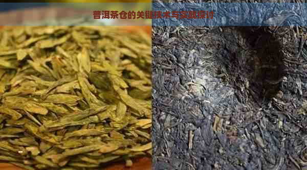 普洱茶仓的关键技术与实践探讨