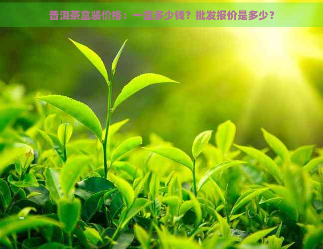 普洱茶盒装价格：一盒多少钱？批发报价是多少？