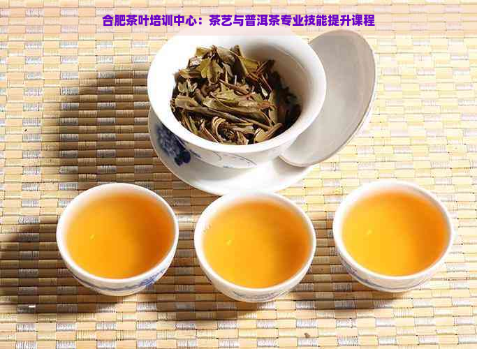 合肥茶叶培训中心：茶艺与普洱茶专业技能提升课程