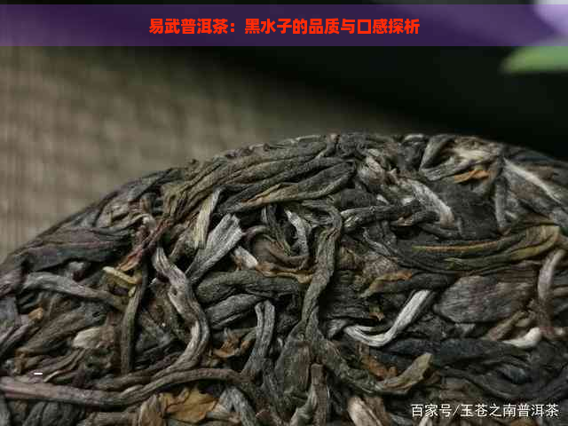 易武普洱茶：黑水子的品质与口感探析