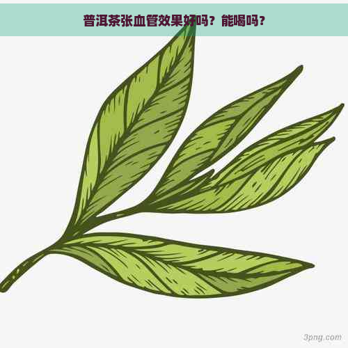 普洱茶张血管效果好吗？能喝吗？