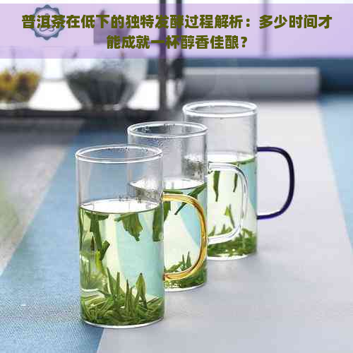 普洱茶在低下的独特发酵过程解析：多少时间才能成就一杯醇香佳酿？