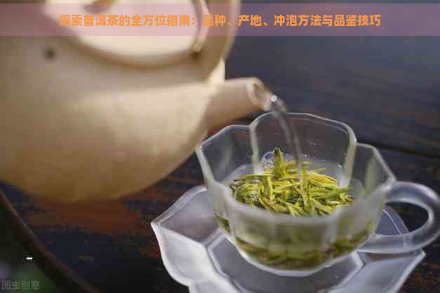 探索普洱茶的全方位指南：品种、产地、冲泡方法与品鉴技巧