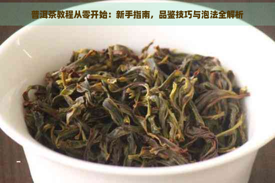 普洱茶教程从零开始：新手指南，品鉴技巧与泡法全解析