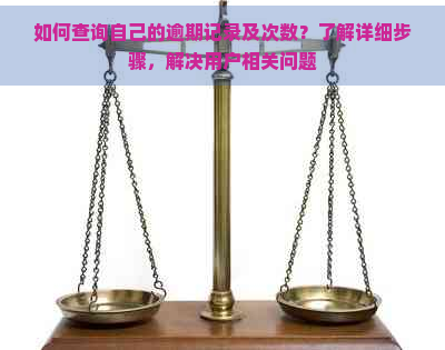 如何查询自己的逾期记录及次数？了解详细步骤，解决用户相关问题