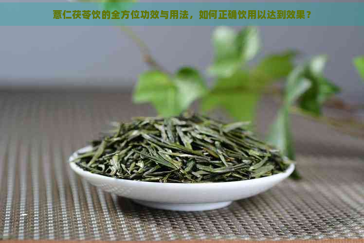 薏仁茯苓饮的全方位功效与用法，如何正确饮用以达到效果？