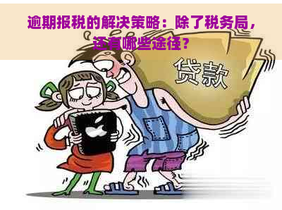 逾期报税的解决策略：除了税务局，还有哪些途径？