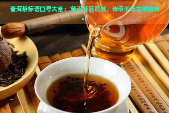 普洱茶标语口号大全：'普洱茶品质越，传承千年古树韵味。'