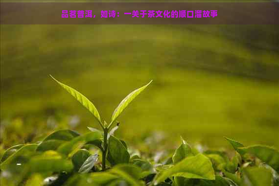 品茗普洱，如诗：一关于茶文化的顺口溜故事