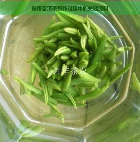 揭秘普洱茶制作过程中的关键原料