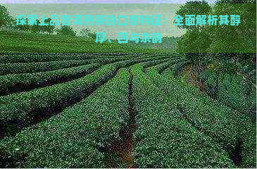 探索上品普洱熟茶的口感特征：全面解析其醇厚、回与余韵