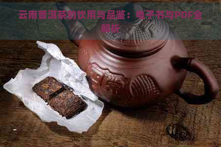 云南普洱茶的饮用与品鉴：电子书与PDF全解析