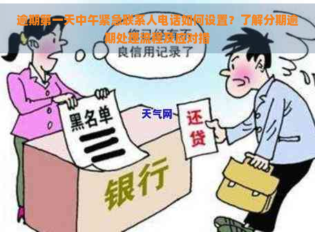 逾期之一天中午紧急联系人电话如何设置？了解分期逾期处理流程及应对措