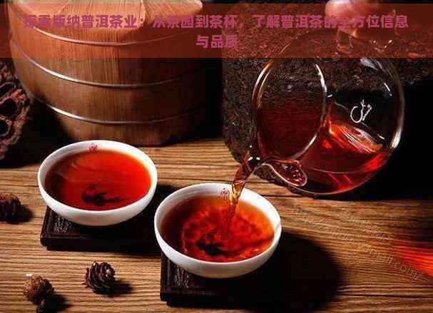 探索版纳普洱茶业：从茶园到茶杯，了解普洱茶的全方位信息与品质