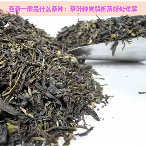 茗茶一OB电竞入口般是什么茶(图4)