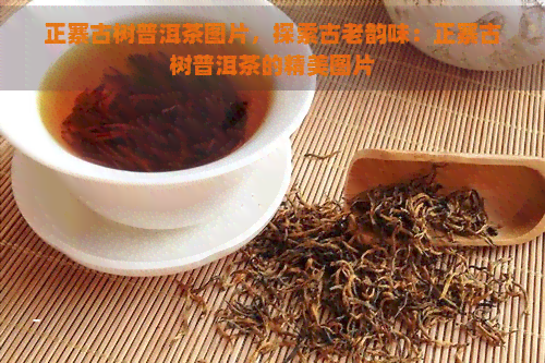 正寨古树普洱茶图片，探索古老韵味：正寨古树普洱茶的精美图片