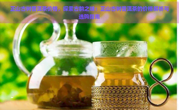 正山古树普洱茶价格，探索古韵之味：正山古树普洱茶的价格解析与选购指南