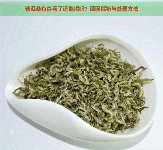 普洱茶有白毛了还能喝吗？原因解析与处理方法