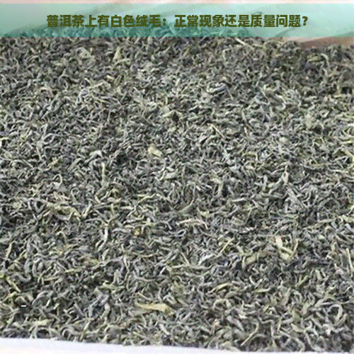 普洱茶上有白色绒毛：正常现象还是质量问题？